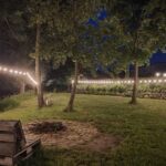 summer night lights